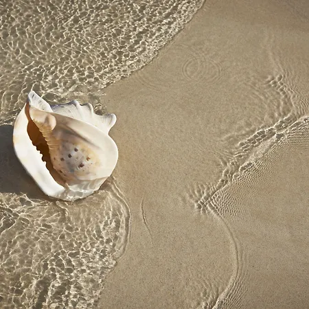 Atlantic Garden Mate 아파트 코라레호