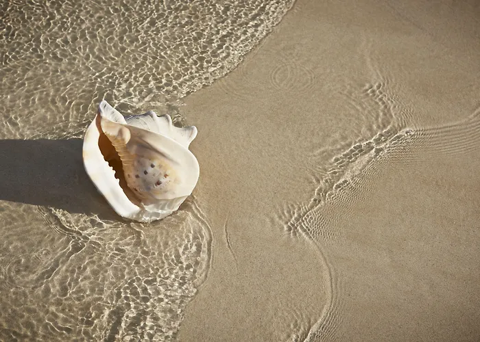 Atlantic Garden Mate Appartement Corralejo